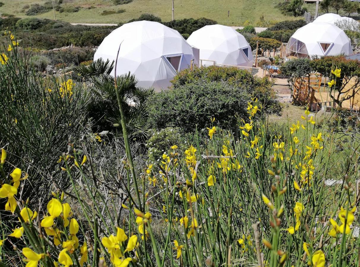B&B Glamping Semaforo Capo Sperone SantʼAntìoco Zewnętrze zdjęcie