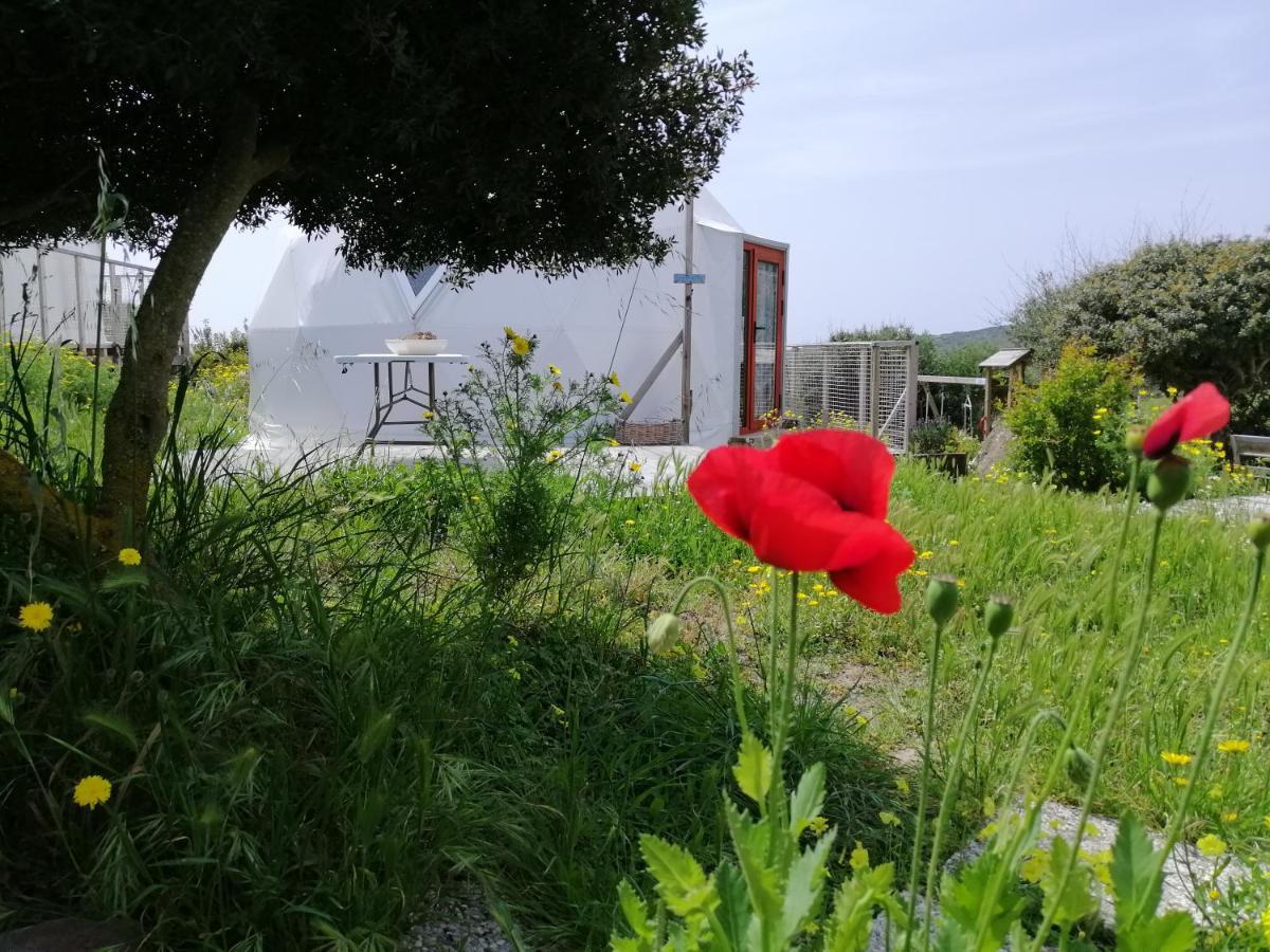 B&B Glamping Semaforo Capo Sperone SantʼAntìoco Zewnętrze zdjęcie