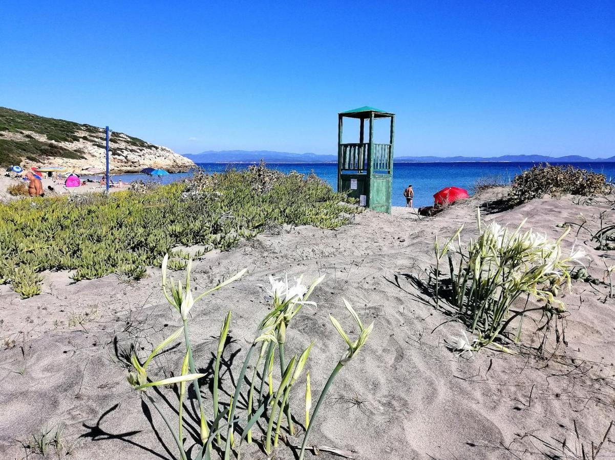 B&B Glamping Semaforo Capo Sperone SantʼAntìoco Zewnętrze zdjęcie